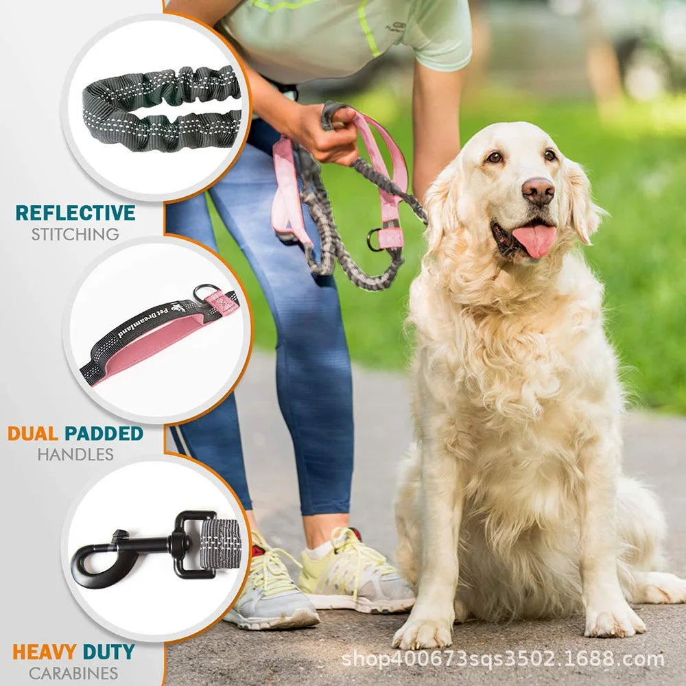 Pet Leash, Portable Running Sports Leash, Reflective Two-hand Handle Retractable Dog Leash, Dog Chain Leash