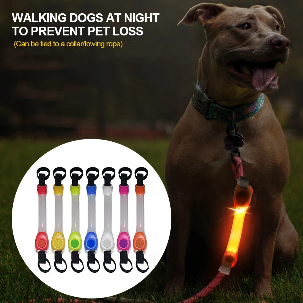 Dog Glowing Collar & Leash Anti Lost Safety Outdoor Waterproof Warning LED Flashing Light Strip Pet Harness Dog Accessories