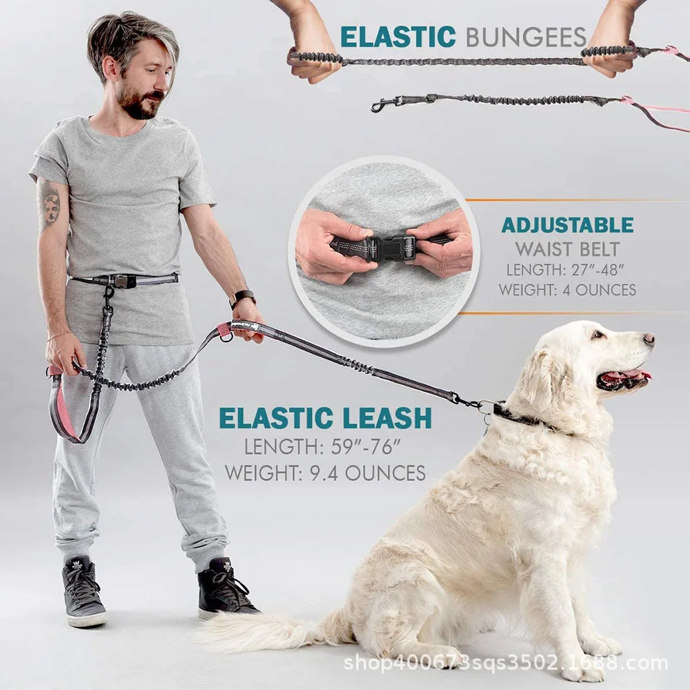 Pet Leash, Portable Running Sports Leash, Reflective Two-hand Handle Retractable Dog Leash, Dog Chain Leash