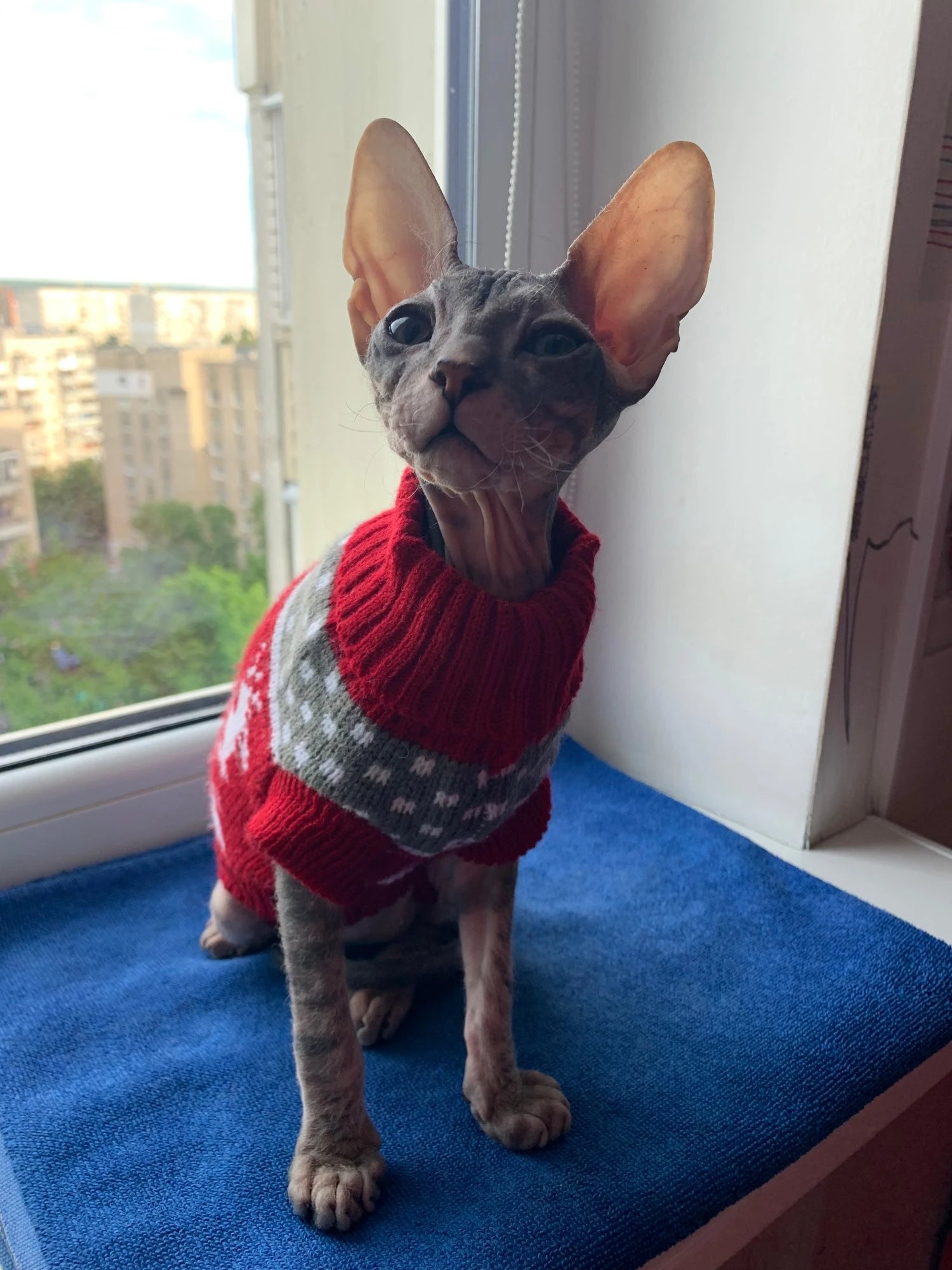 Christmas Dog Sweater Medium Large Dogs Reindeer Snowflake Knitted Sweater Xmas Holiday Pet Clothes Turtleneck Knitwear Pullover