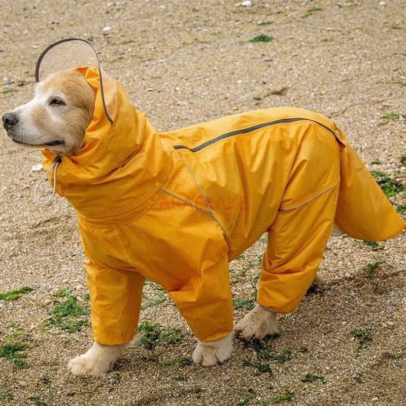 Pet dog, big dog, medium to large dog, golden haired Samoyed, Alaska, all inclusive raincoat, hooded bag, tail rain gear