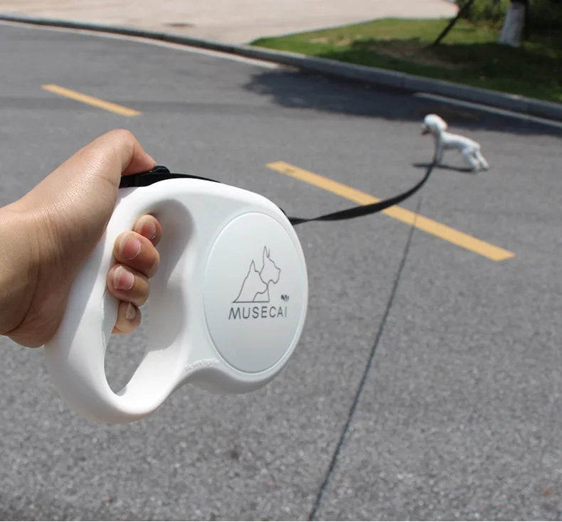 Dog Leash Large Small Medium Dog Leash Golden Hair Teddy Walk Cat Dog Mi Automatic Retractable Rope Small Animal Supplies