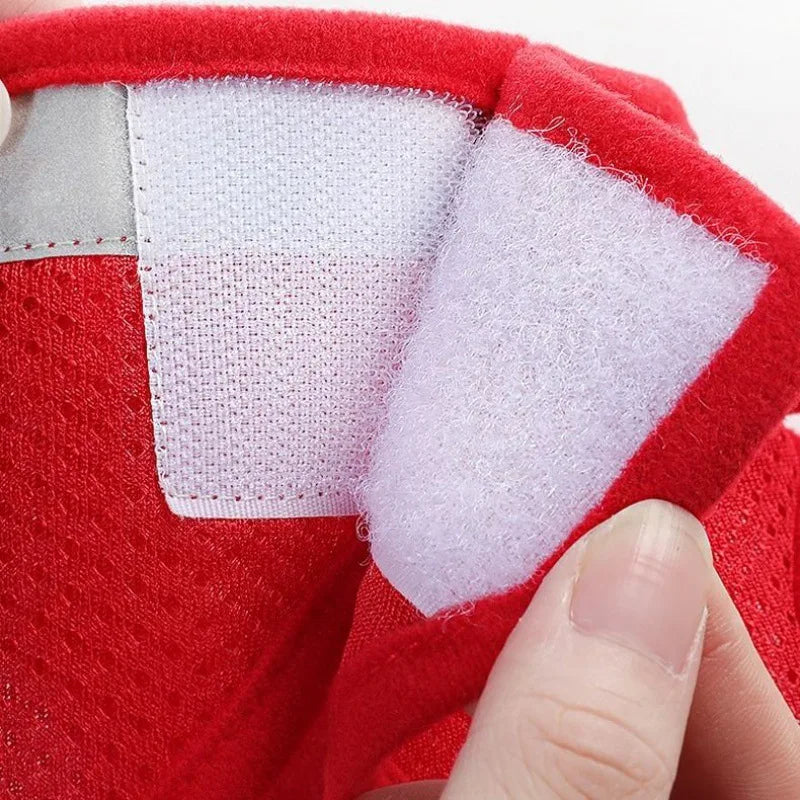 CDDMPET Dog Harness and Leash Set Outdoor Training Walking Harnesses Safety Sport Puppy Vest Pet Harness For Small Dogs Cats