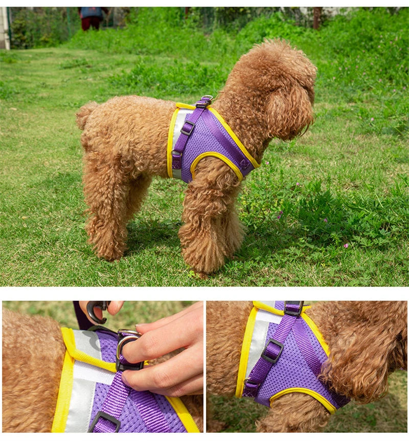 Puppy Harness and Leash Set Breathable Summer Mesh Dog Harness Vest Reflective Pet Cat Chest Straps Chihuahua Yorkies Harness