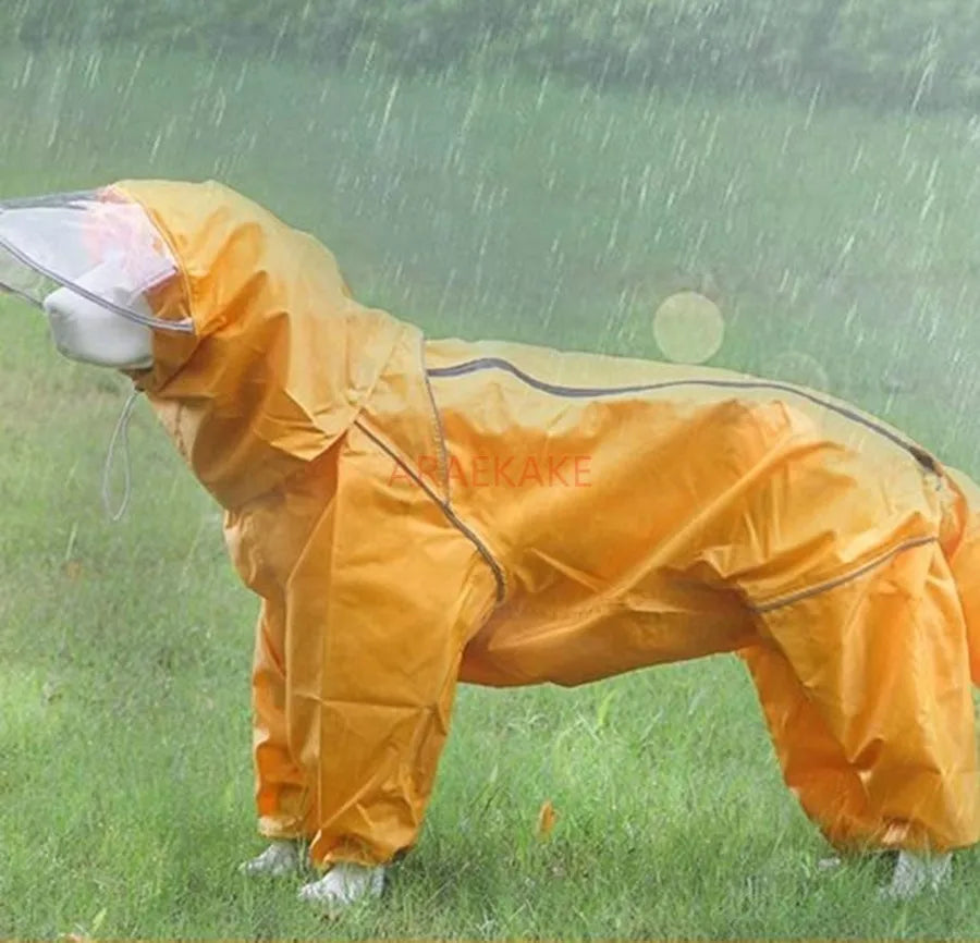 Pet dog, big dog, medium to large dog, golden haired Samoyed, Alaska, all inclusive raincoat, hooded bag, tail rain gear