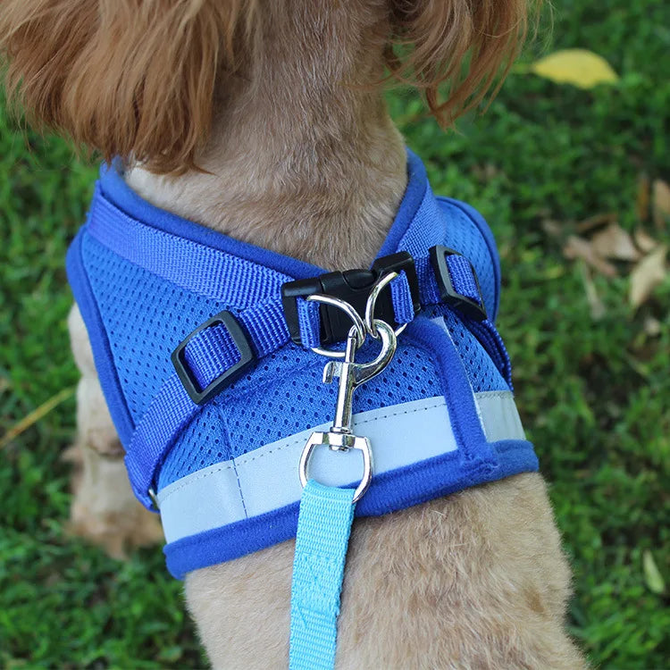 CDDMPET Dog Harness and Leash Set Outdoor Training Walking Harnesses Safety Sport Puppy Vest Pet Harness For Small Dogs Cats