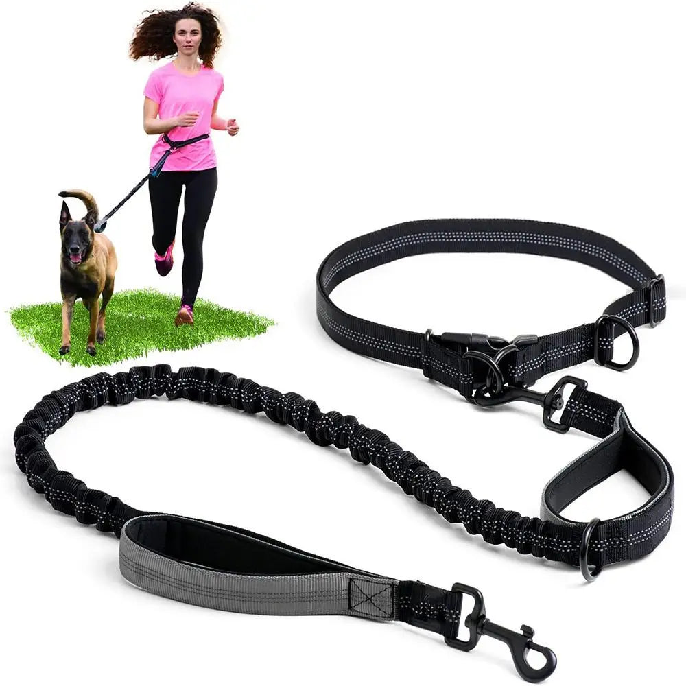Pet Leash, Portable Running Sports Leash, Reflective Two-hand Handle Retractable Dog Leash, Dog Chain Leash