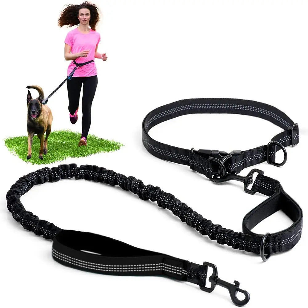 Pet Leash, Portable Running Sports Leash, Reflective Two-hand Handle Retractable Dog Leash, Dog Chain Leash