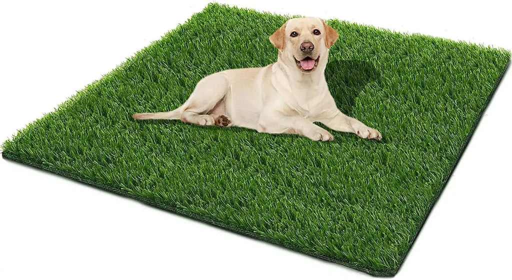 Dogs Grass for Potty Training Artificial Grass for Dogs Puppy Fake Grass Pads Large Dogs Supplies Pets Litter Rugs for Puppy