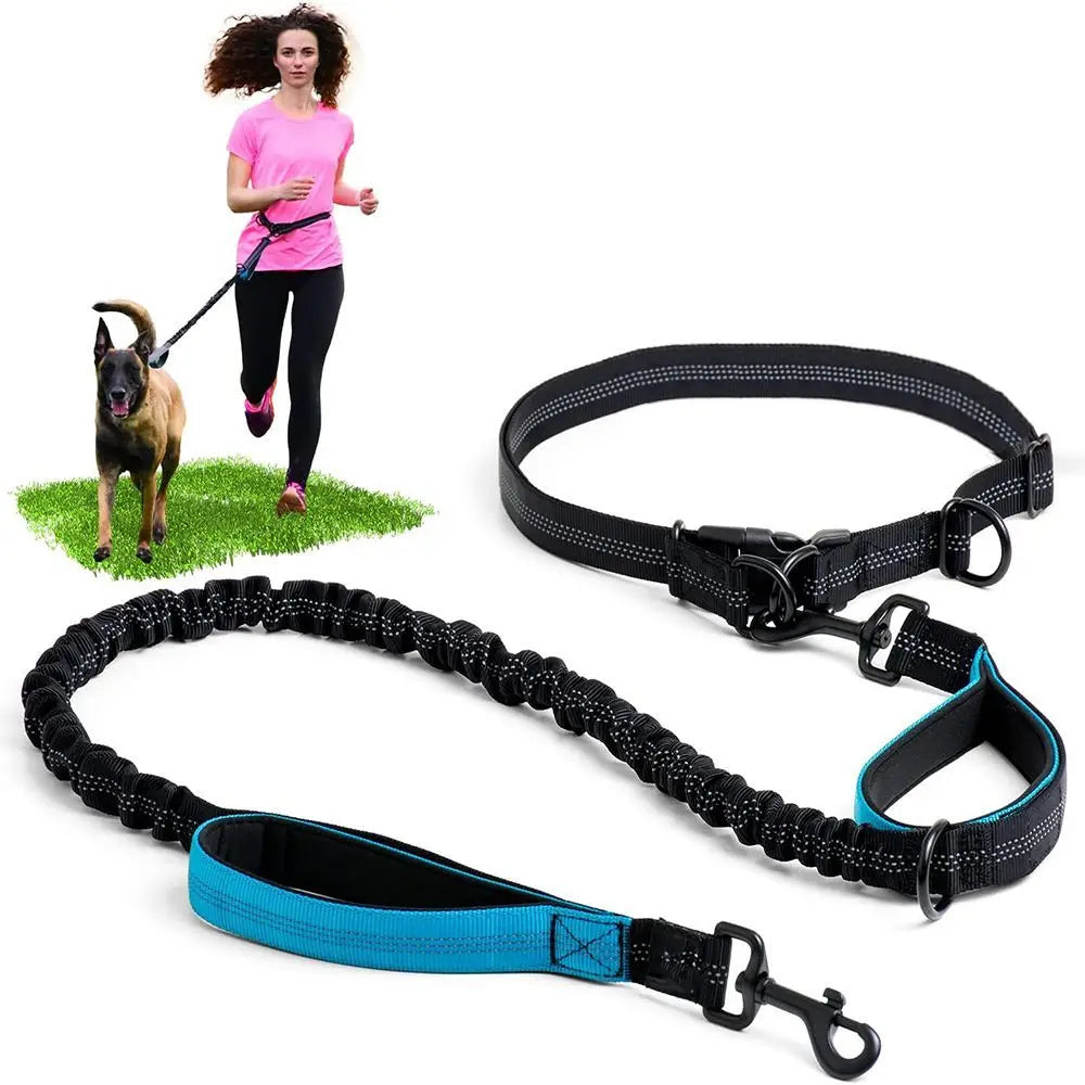 Pet Leash, Portable Running Sports Leash, Reflective Two-hand Handle Retractable Dog Leash, Dog Chain Leash