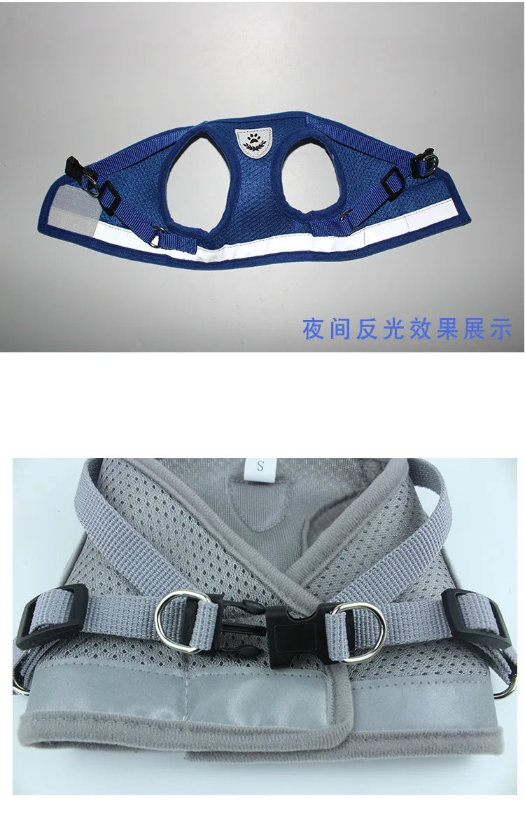 CDDMPET Dog Harness and Leash Set Outdoor Training Walking Harnesses Safety Sport Puppy Vest Pet Harness For Small Dogs Cats