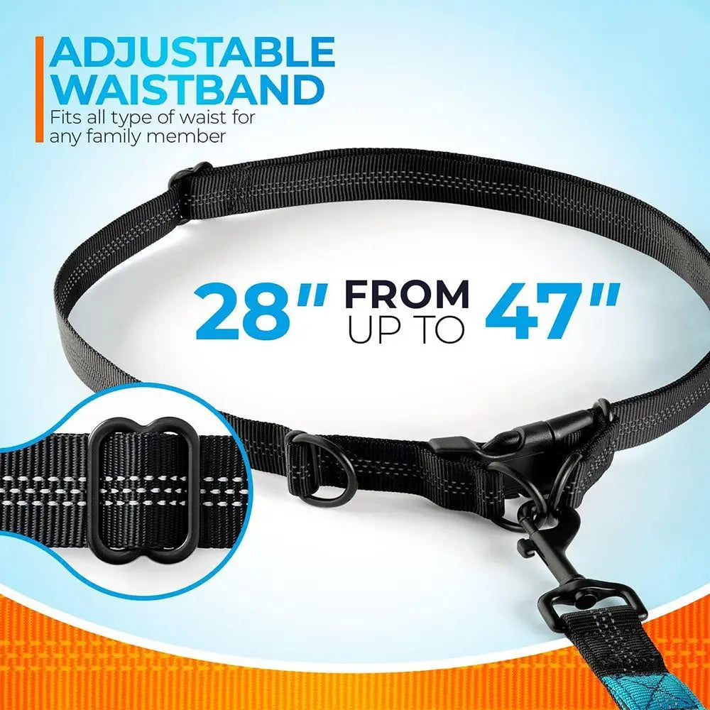 Pet Leash, Portable Running Sports Leash, Reflective Two-hand Handle Retractable Dog Leash, Dog Chain Leash