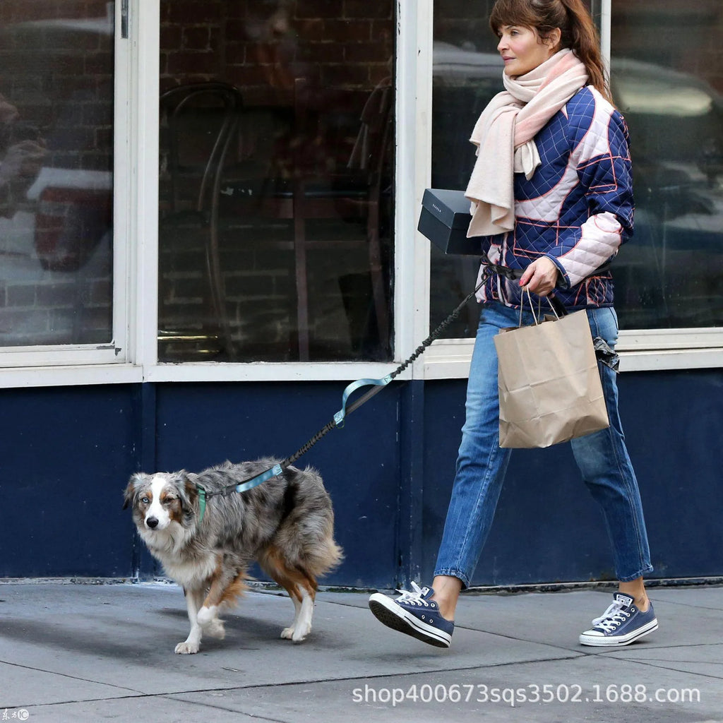 Pet Leash, Portable Running Sports Leash, Reflective Two-hand Handle Retractable Dog Leash, Dog Chain Leash