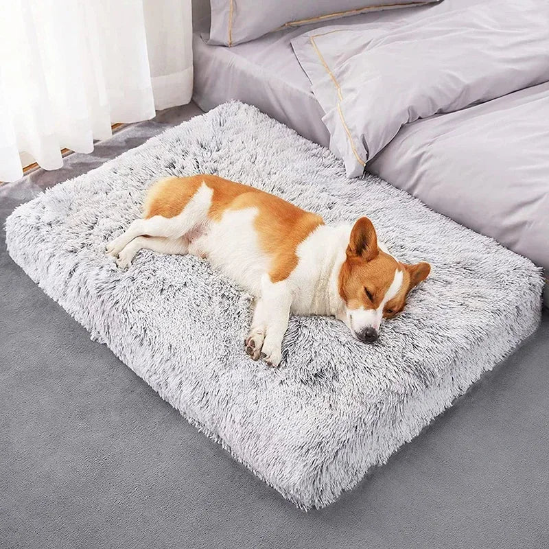 Dog Bed Super Soft Plush Cat Beds for Small Medium Large Dogs Removable for Cleaning Puppy Cushion Claming Dog Beds Pet Mat