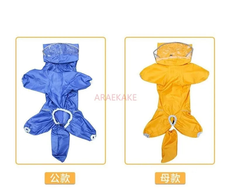 Pet dog, big dog, medium to large dog, golden haired Samoyed, Alaska, all inclusive raincoat, hooded bag, tail rain gear