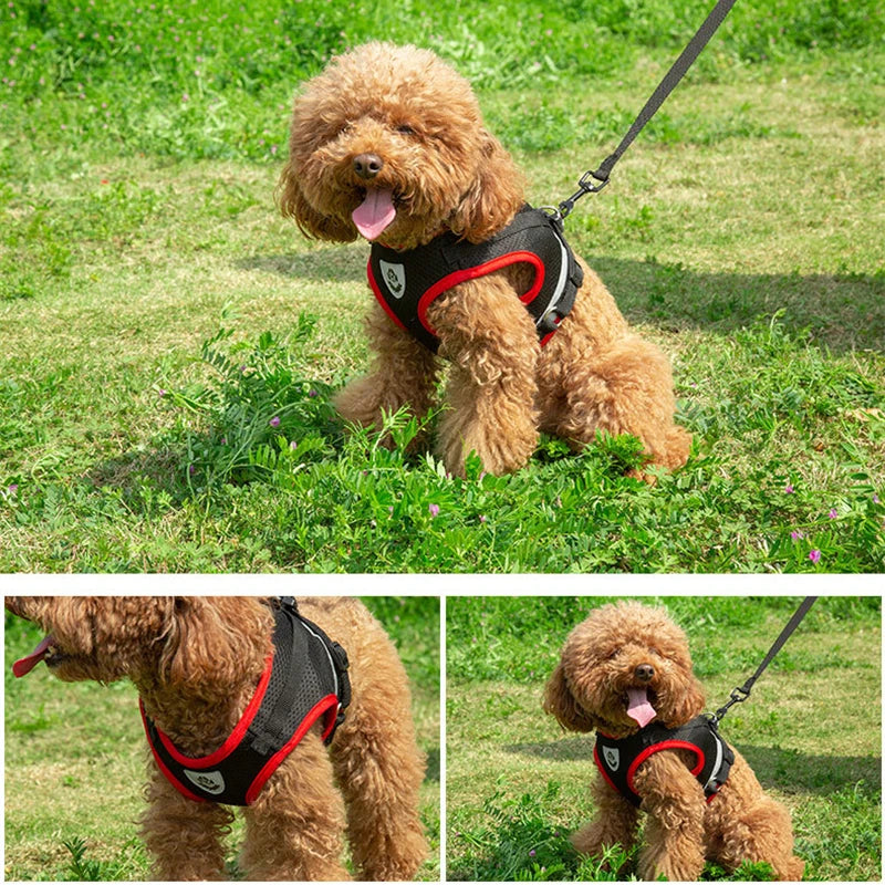 Puppy Harness and Leash Set Breathable Summer Mesh Dog Harness Vest Reflective Pet Cat Chest Straps Chihuahua Yorkies Harness