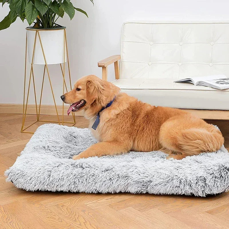 Dog Bed Super Soft Plush Cat Beds for Small Medium Large Dogs Removable for Cleaning Puppy Cushion Claming Dog Beds Pet Mat