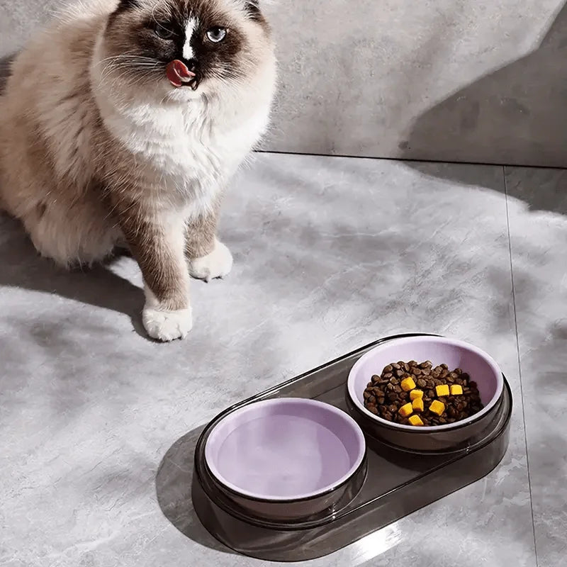 Durable Elevated Dual Bowl Feeder | Raised Pet Feeding Station with Non-Slip Stand, Easy Feeding for Cats & Small Dogs