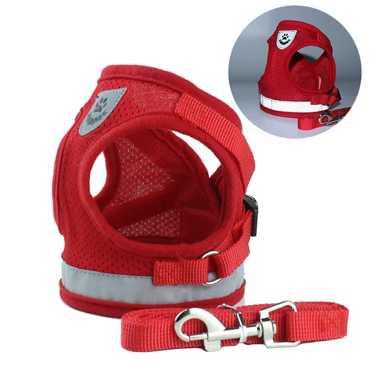 CDDMPET Dog Harness and Leash Set Outdoor Training Walking Harnesses Safety Sport Puppy Vest Pet Harness For Small Dogs Cats