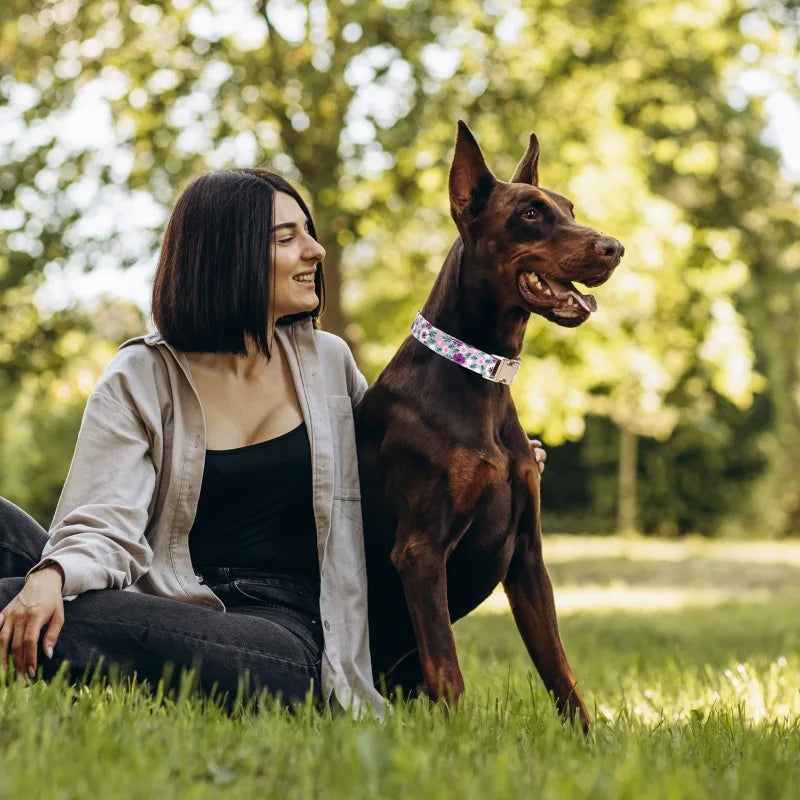 1PC Adjustable Dog Collar New Fashion Design Floral Striped Pet Supplies Leash Dog Two Body Type Gift Home Furnishings