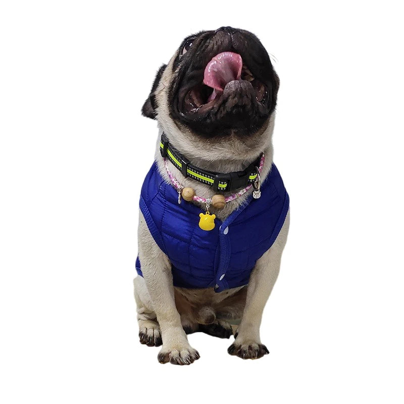 Winter Pet Cotton Jacket Warm Dog Clothes Puppy Coat For Small Medium Dogs Cats Outfit Chihuahua French Bulldog Maltese Clothing