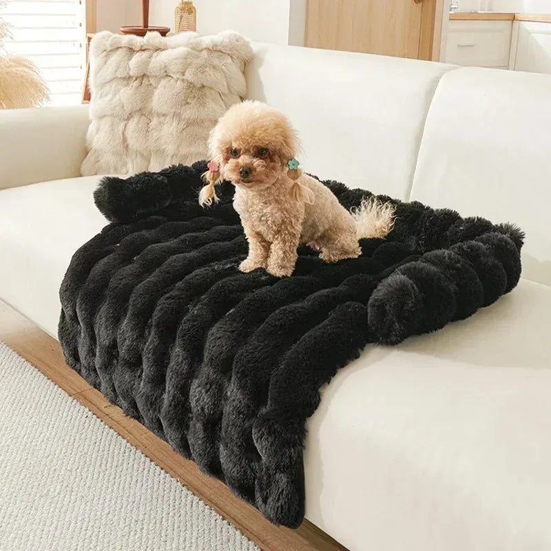 Dog Beds for Large Dogs Small Breeds Accessory Pet Supplies Basket Bed