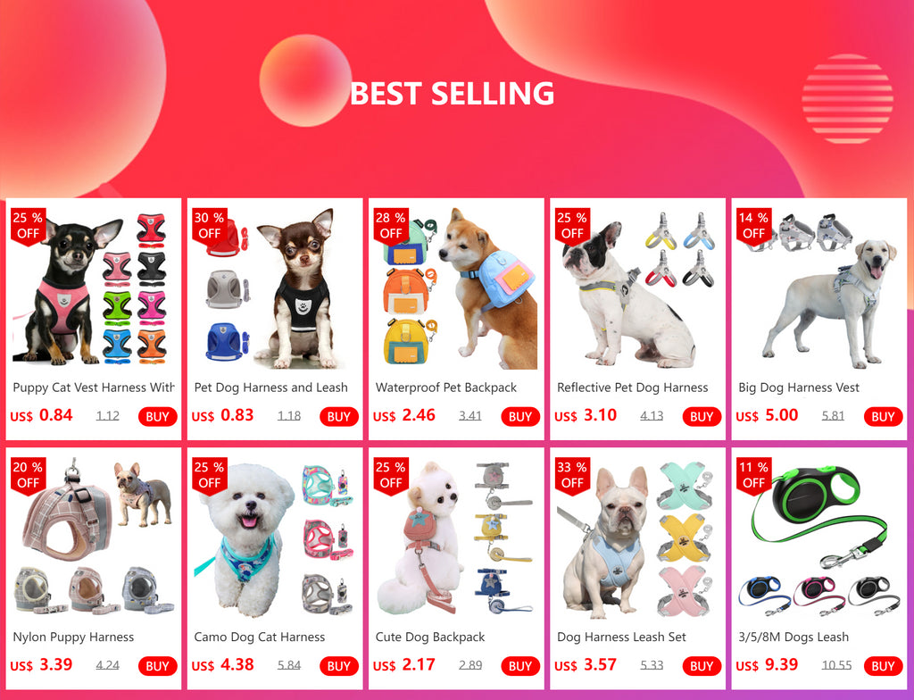 Bohemia Style Dog Cat Collar and Leash Set for Small Large Dogs Chihuahua Puppy Adjustable Collars French Bulldog Walking Leash