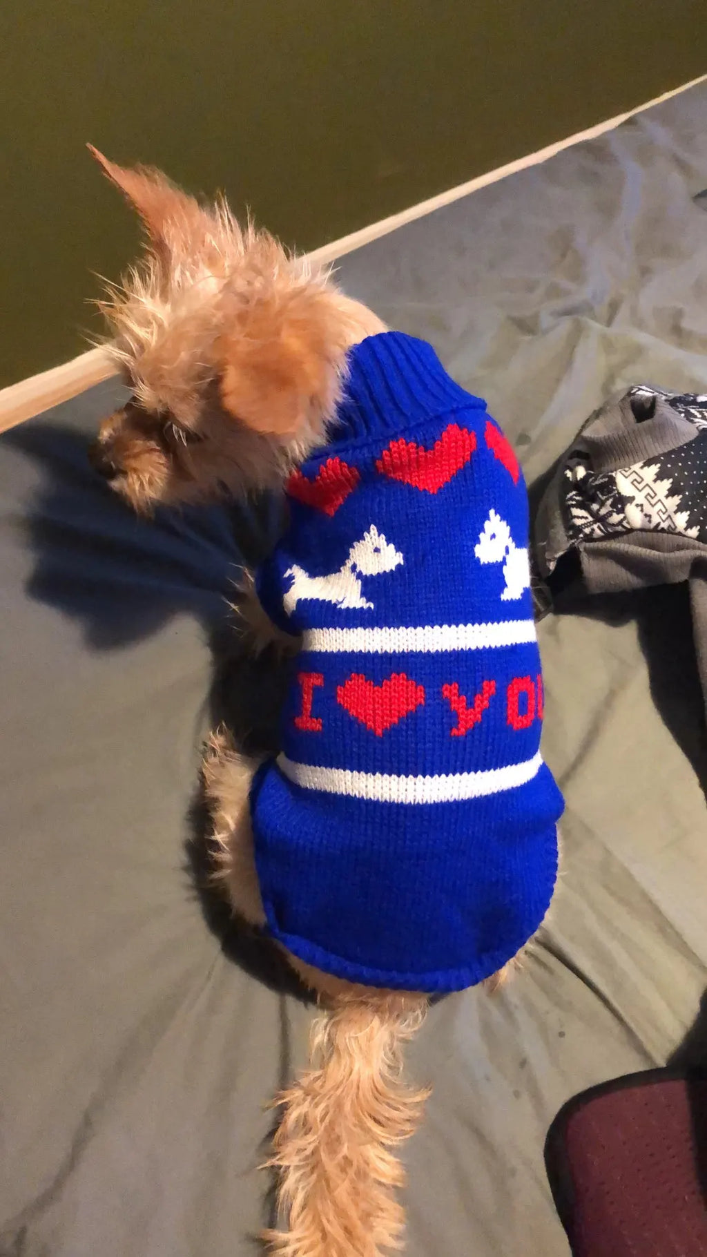 Warm Pet Dog Sweater Winter Dog Clothes for Small Medium Dogs Knitted Puppy Cat Coat Chihuahua French Bulldogs Yorkie Customes