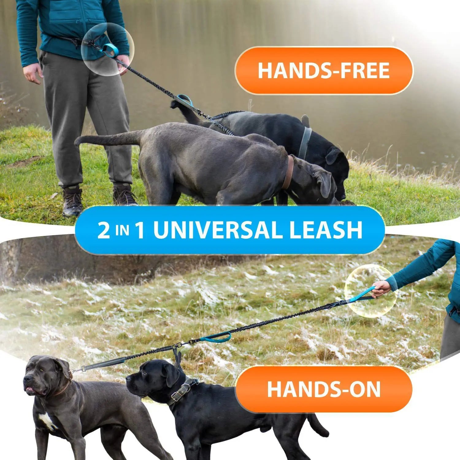Hands Free Double Dog Leash – Dual Leash for Medium and Large Breeds – Lead for 2 Dogs with Padded Handles,Reflective Stitches